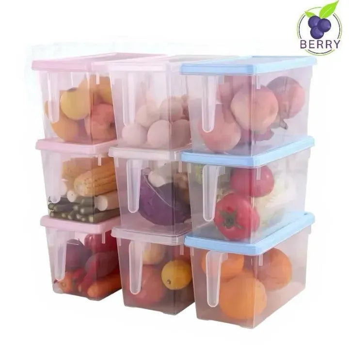 Chill Box Fridge Storage Container with Lid & Handle – Transparent Kitchen Organizer | Lotloo