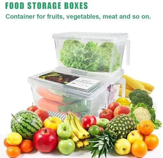 Chill Box Fridge Storage Container with Lid & Handle – Transparent Kitchen Organizer | Lotloo